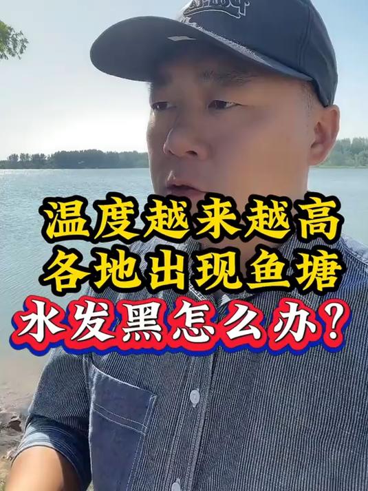 温度越来越高,各地出现鱼塘水发黑怎么办