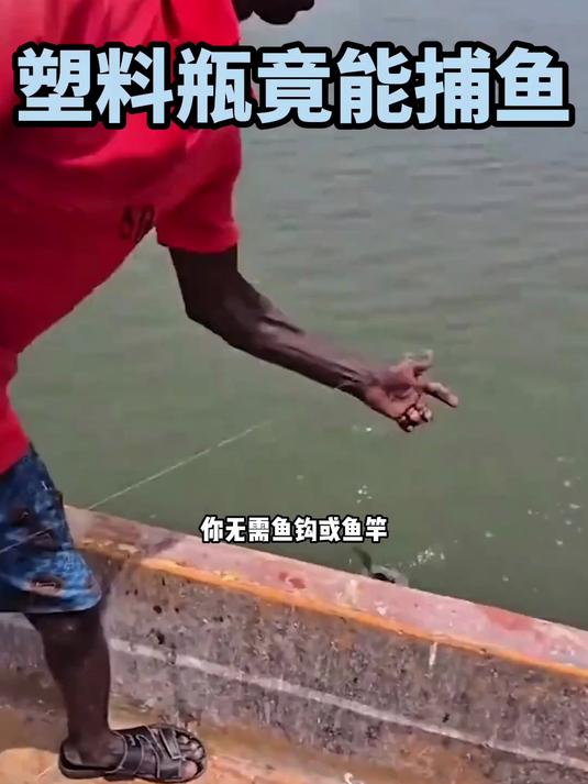 你不需要鱼钩或鱼竿。只用一个塑料瓶和一根绳子,你就能……