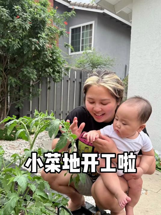 今天终于把小菜园启动了,希望早点吃上自己种的菜