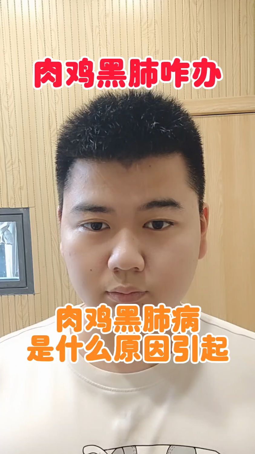 #肉鸡黑肺什么原因肉鸡黑肺是怎么回事肉鸡肺水肿发黑的原因肉鸡肺变黑的解决方案
