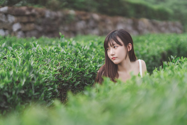 图片[13]-记忆里的夏天-六色网
