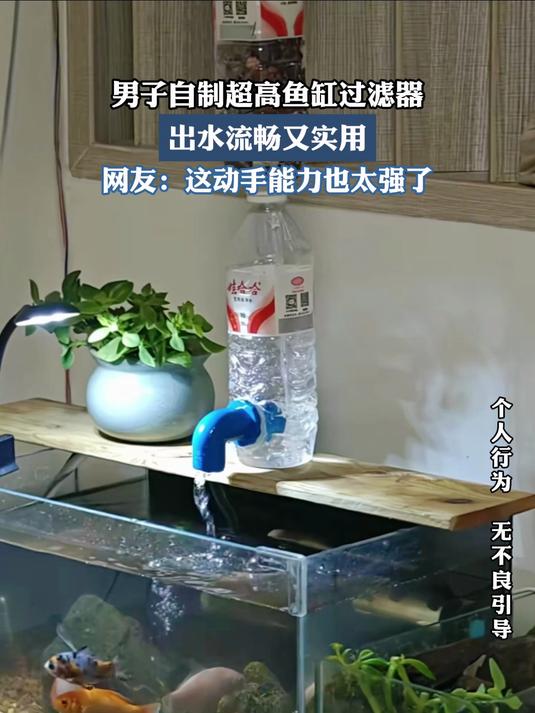 男子自制超高鱼缸过滤器,出水流畅又实用