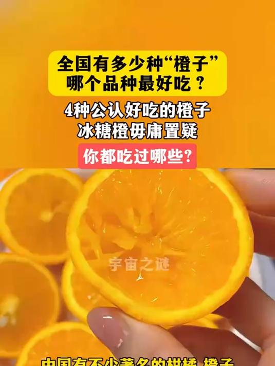 全国有多少种橙子哪个品种最好吃?