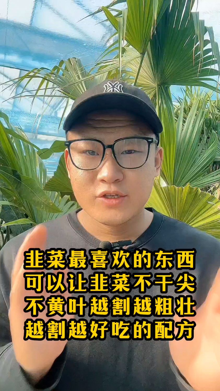 韭菜最喜欢的一样东西,韭菜不干尖不黄叶,越割越粗壮,越割越好吃。