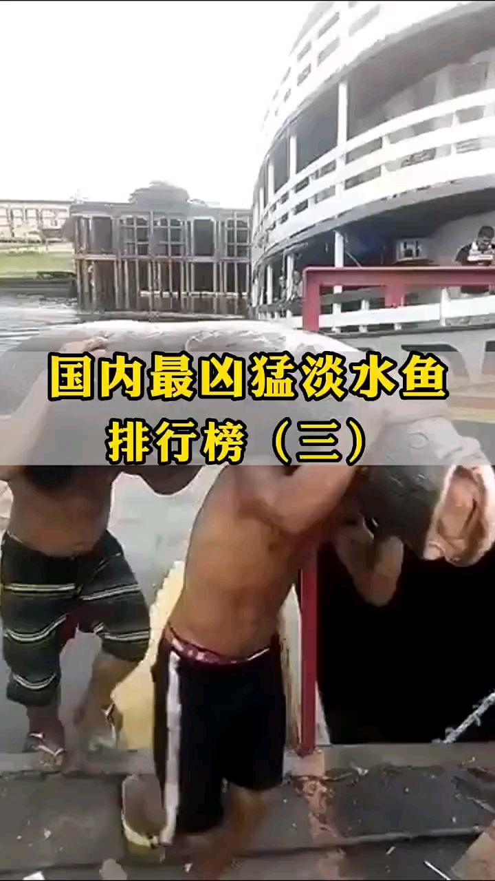 国内最凶猛淡水鱼排行榜