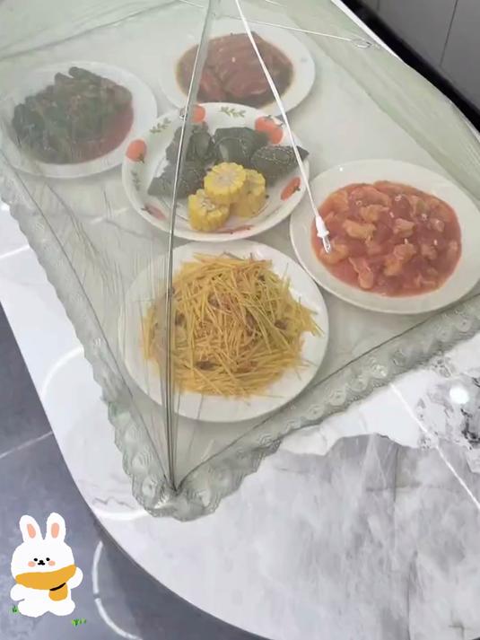 防蚊家用神器可折叠防苍蝇网罩盖菜餐桌罩长方形剩饭防蚊子食物罩