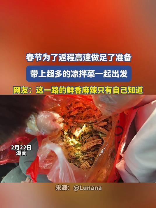 春节为了返程高速做足了准备，带上超多的凉拌菜一起出发#马上就出发#