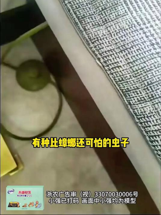 关灯就爬上床,咬人的蟑螂你们有没有见过?
