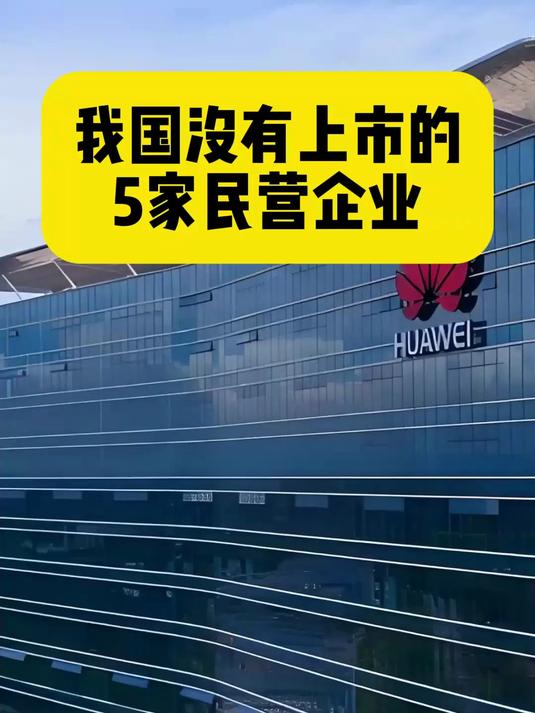 我国没有上市的5家民营企业
