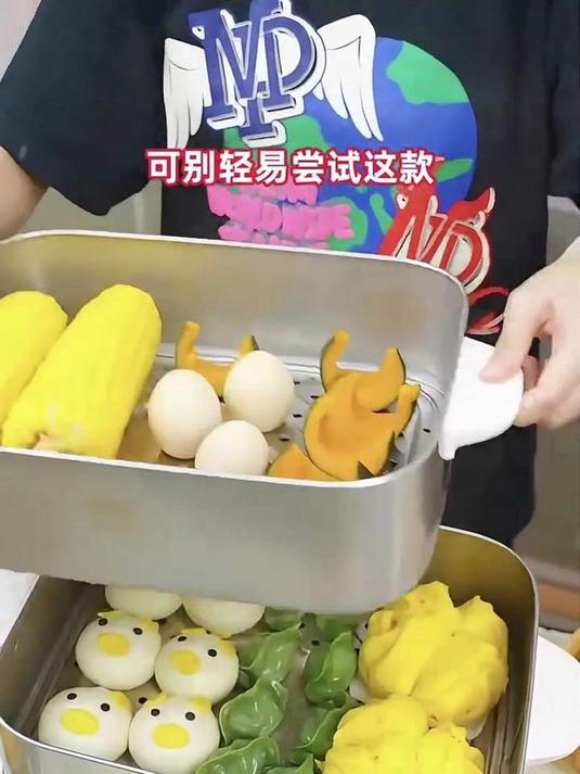 志高智能电蒸锅 懒人必备 蒸煮炖焖一键搞定