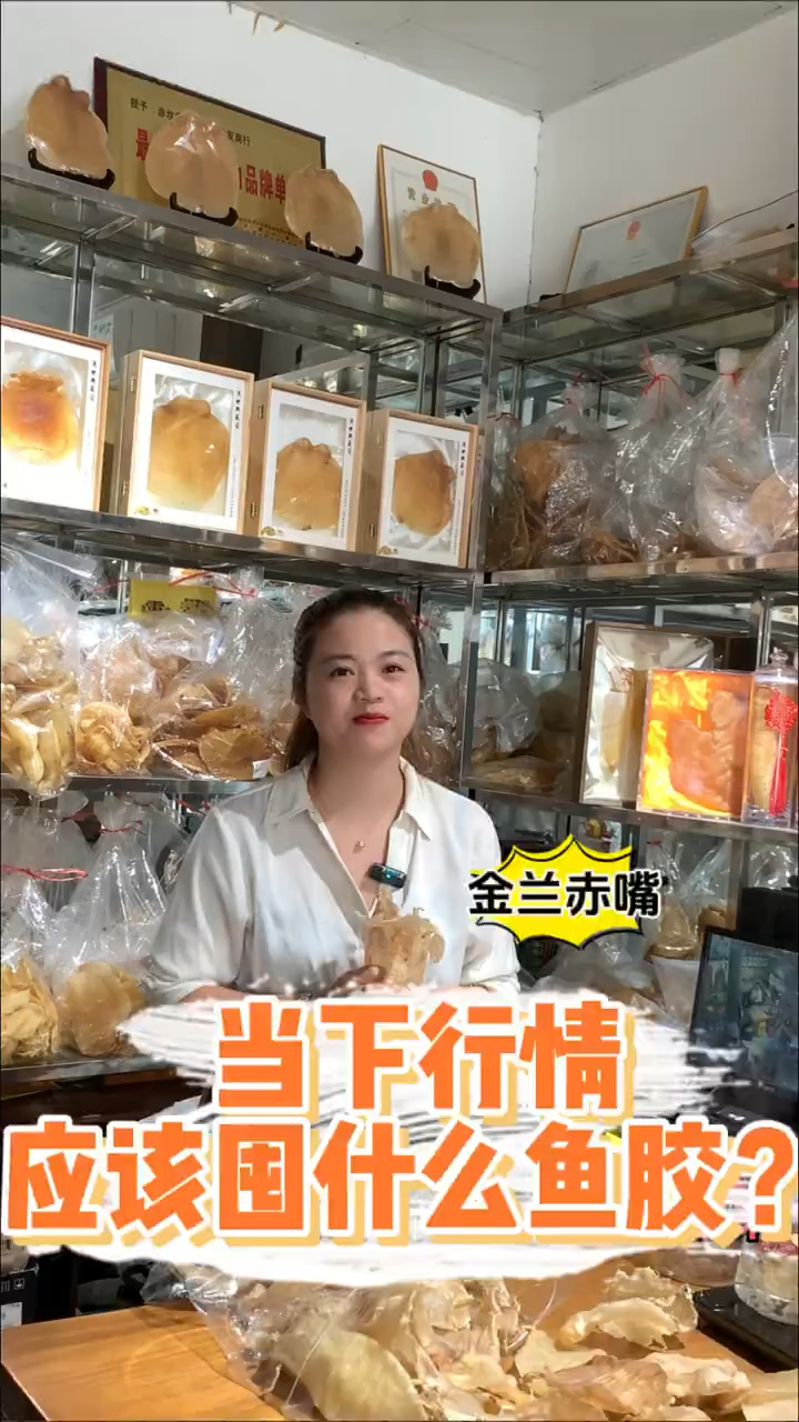 囤鱼胶应该是选择公胶还是母胶?