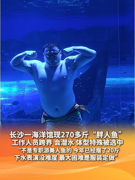 长沙一海洋馆现270多斤“胖人鱼”工作人员跨界 会潜水