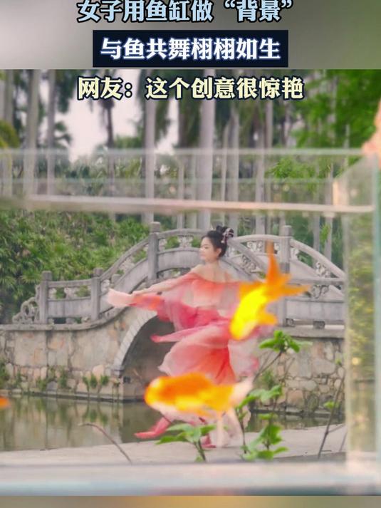 女子用鱼缸做“背景”,与鱼共舞栩栩如生