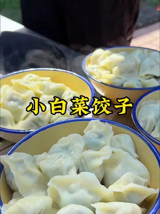 今天用小白菜包的饺子,味道鲜美 营养丰富