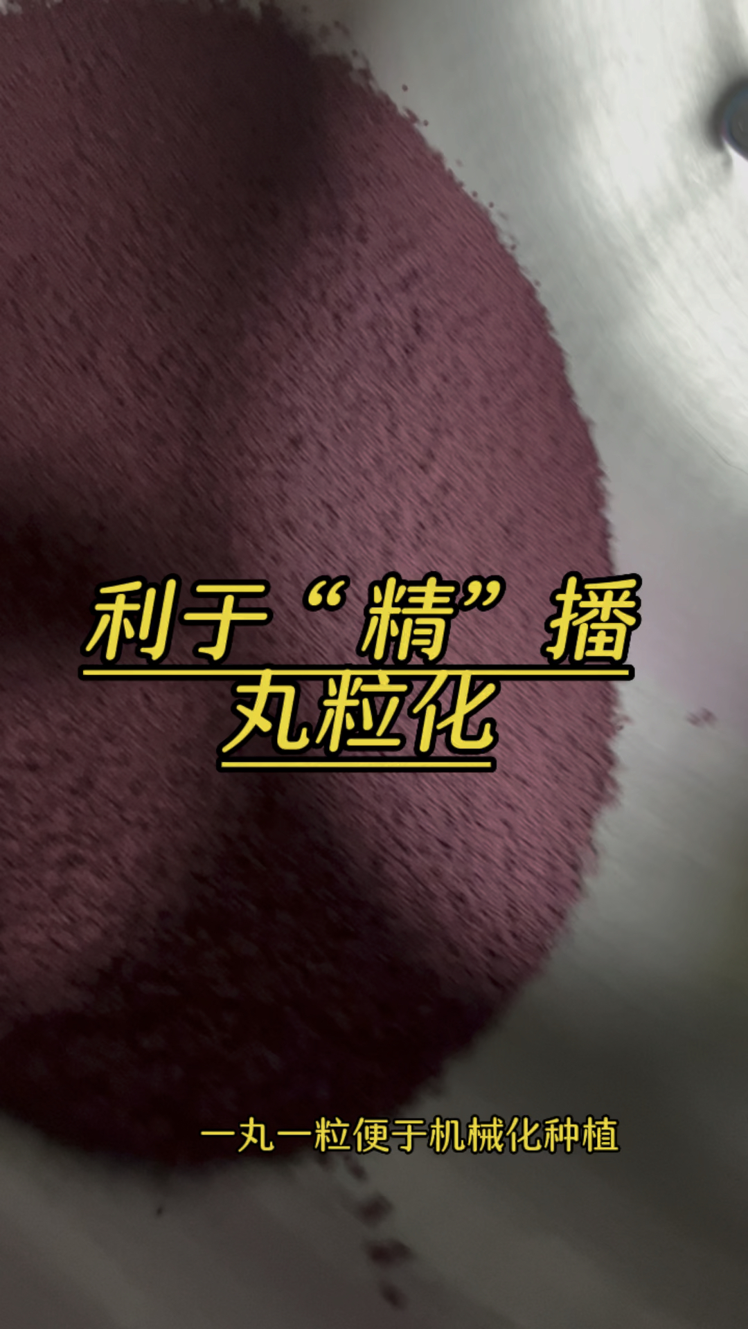 利于精播 新型种子丸粒化技术#丸粒化#种子编织机#蔬菜播种机