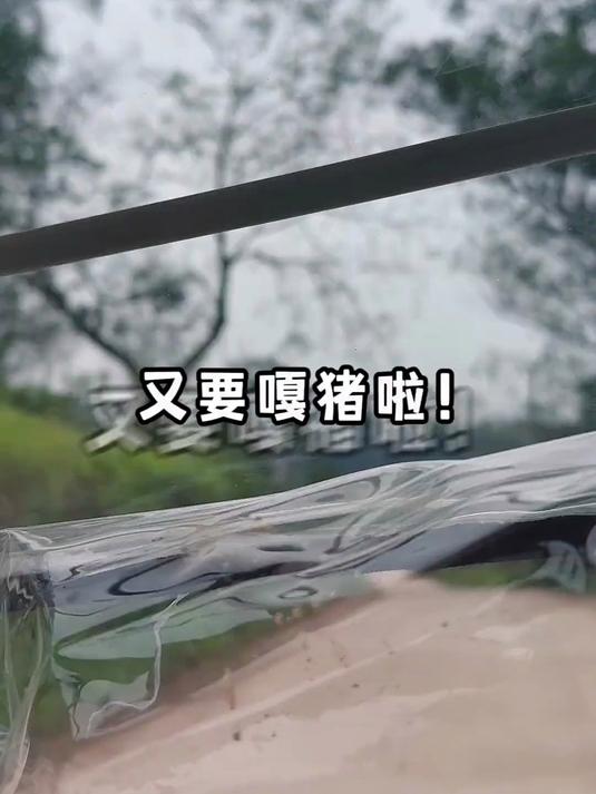 又又又又吃刨汤了～