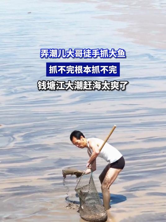 弄潮儿大哥徒手抓大鱼,抓不完根本抓不完,钱塘江大潮赶海太爽了