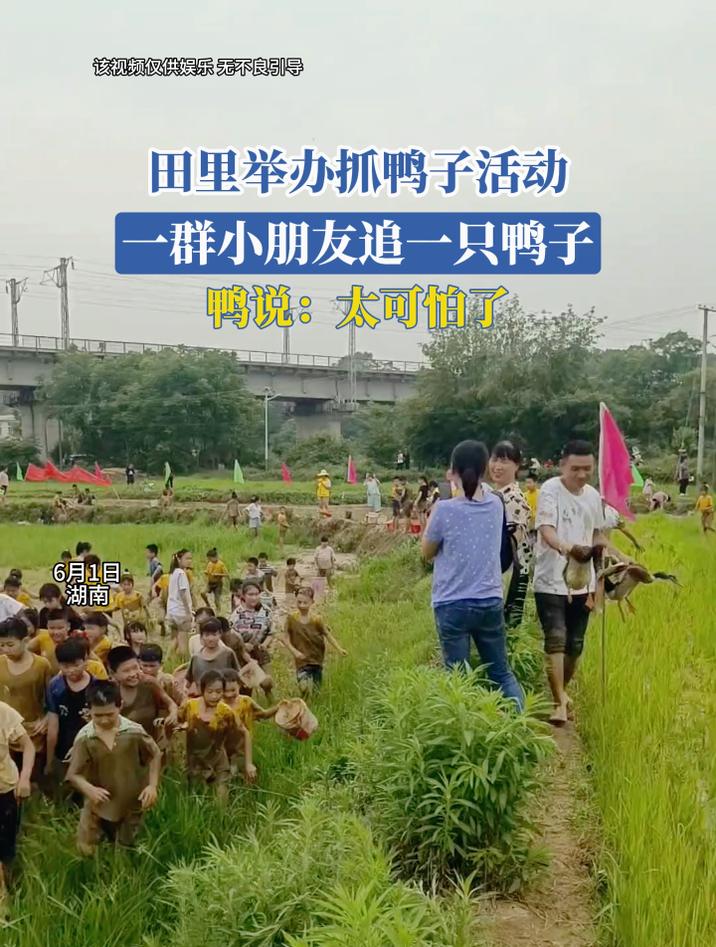 田里举办抓鸭子活动,一群小朋友追一只鸭子,鸭说:太可怕了