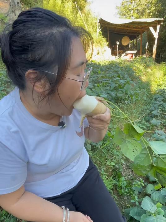 凉薯水分堪比梨长在土里的水果蔬菜也叫地瓜小时候喜欢吃