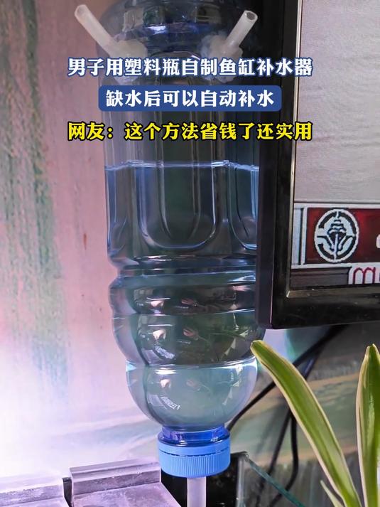 男子用塑料瓶自制鱼缸补水器，缺水后可以自动补水