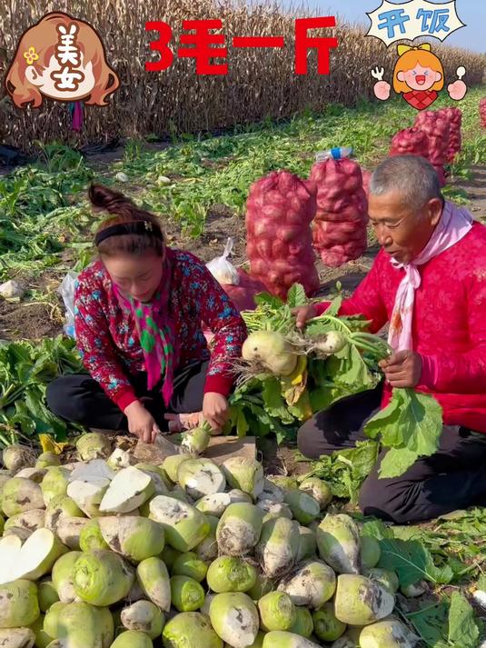 东北芥菜疙瘩小花英芥菜疙瘩脆不柴_芥菜_ 儿时的味道