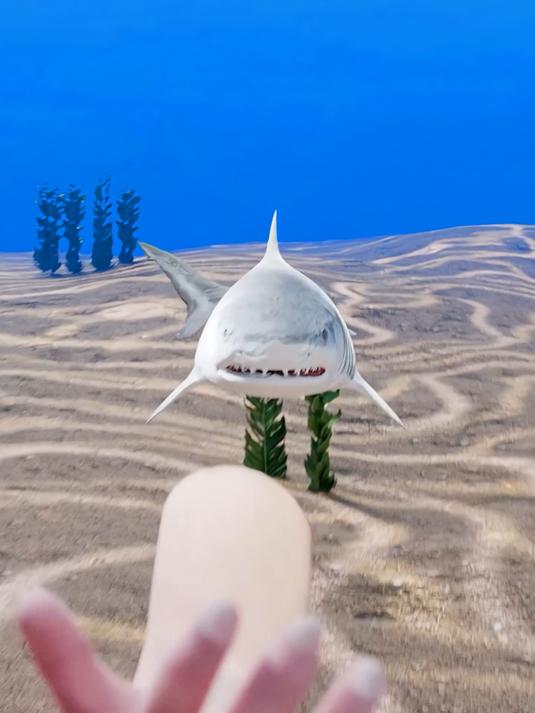 揭露谋杀案的鲨鱼