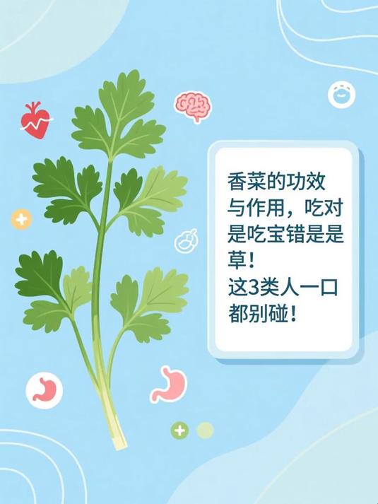 香菜的功效与作用，吃对是宝吃错是草！这3类人一口都别碰！#健康扬帆季#