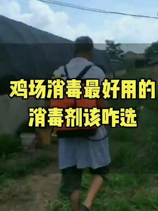 鸡场消毒最好用的消毒剂该咋选