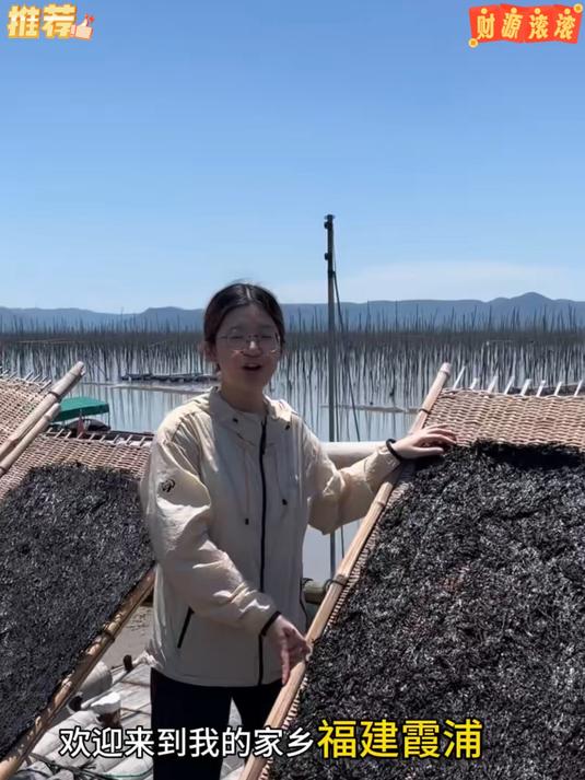 8_ 头水紫菜_高品质紫菜不需要清洗可以做海苔