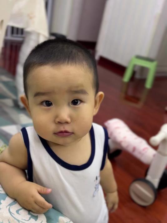 小鱼儿记忆力还挺好的,现在已经记住好多城市名了