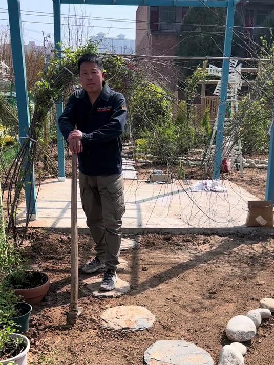 给花园里栽几个天鹅绒！自己栽花自己切，轻松实现切花自由！