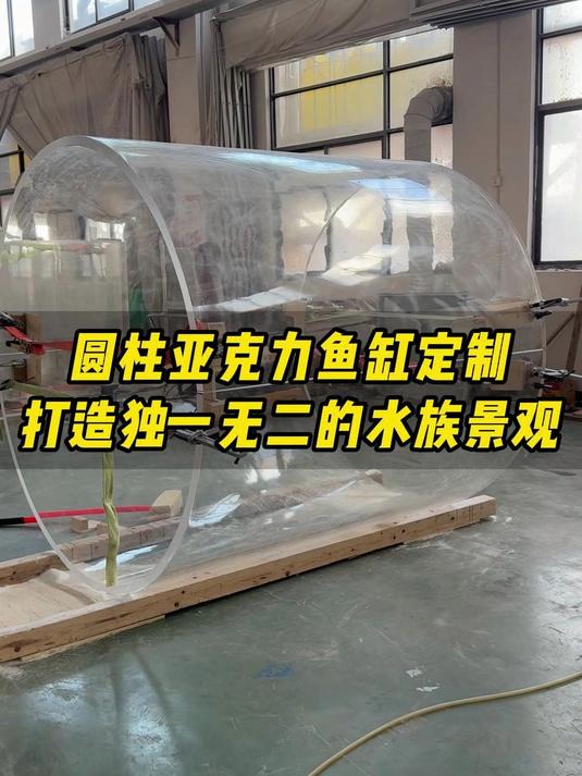 圆柱亚克力鱼缸定制，打造独一无二的水族景观