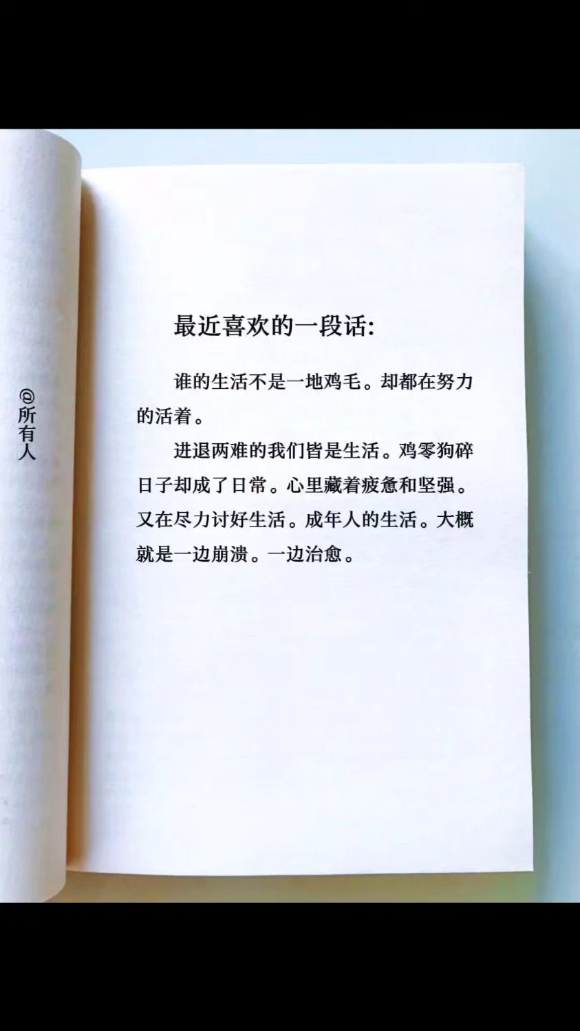谁的生活不是一地鸡毛