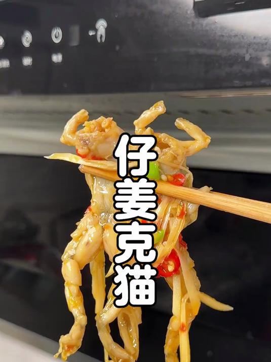 大排档必点菜仔姜克猫儿,酸辣开胃越吃越想吃