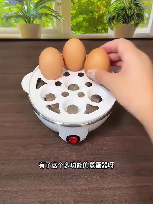 多功能煮蛋机，自动断电太省心！防干烧黑科技，迷你家用，蒸蛋蒸玉米蒸包子一锅出。#煮蛋神器#