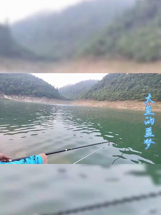 玉米钓武昌鱼的技巧
