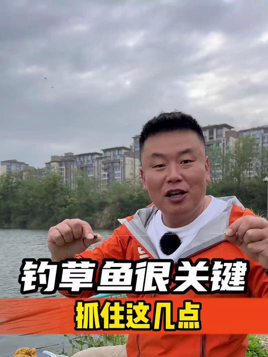钓草鱼很关键,抓住这几点