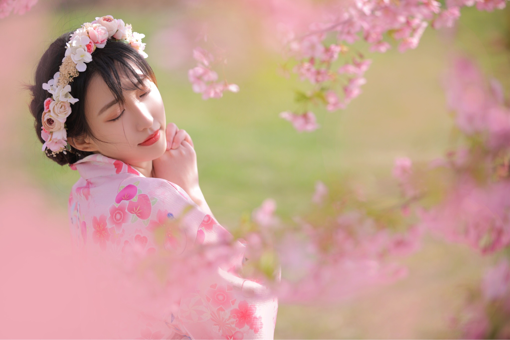 图片[4]-樱花-六色网