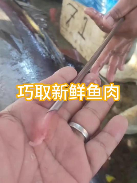 一签定乾坤!看似虐鱼的动作,竟是决定金枪鱼百万身价的关键!#金枪鱼#