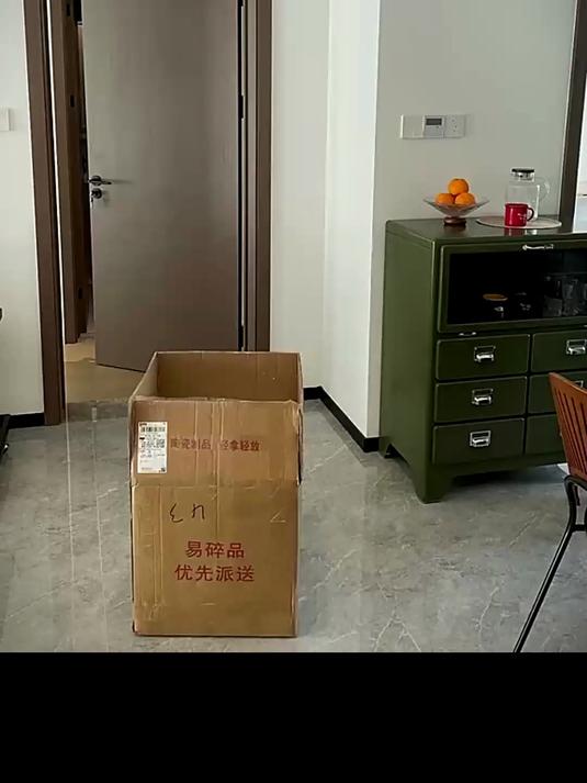 新家的第一颗大绿植,鸭脚木进场
