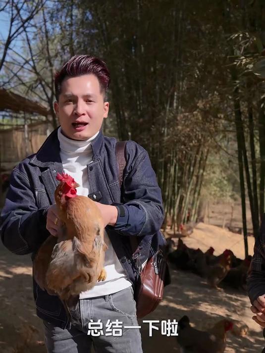 正宗的清远鸡有哪些特点？看看清远鸡专业户怎么说