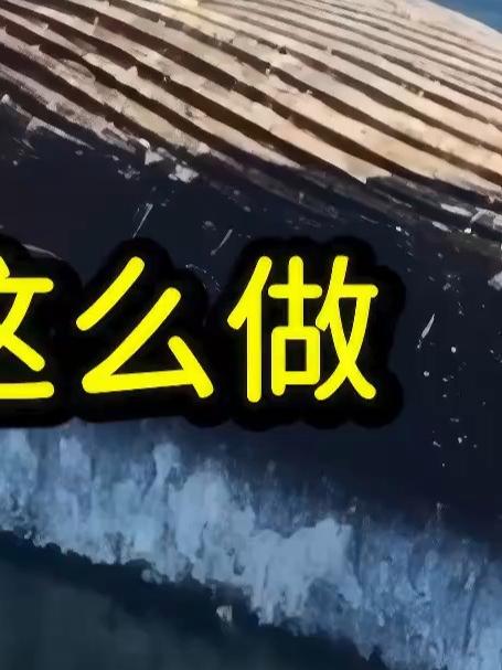 肚皮朝天的鲸鱼和鲨鱼?千万不要靠近