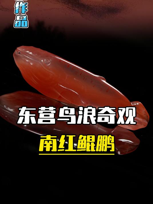 北冥有鱼,其名为鲲,鲲之大不知几千里也!在这一刻具象化了