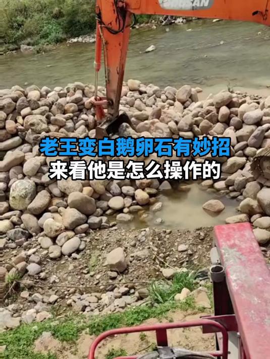 变白后的鹅卵石可做造景石用