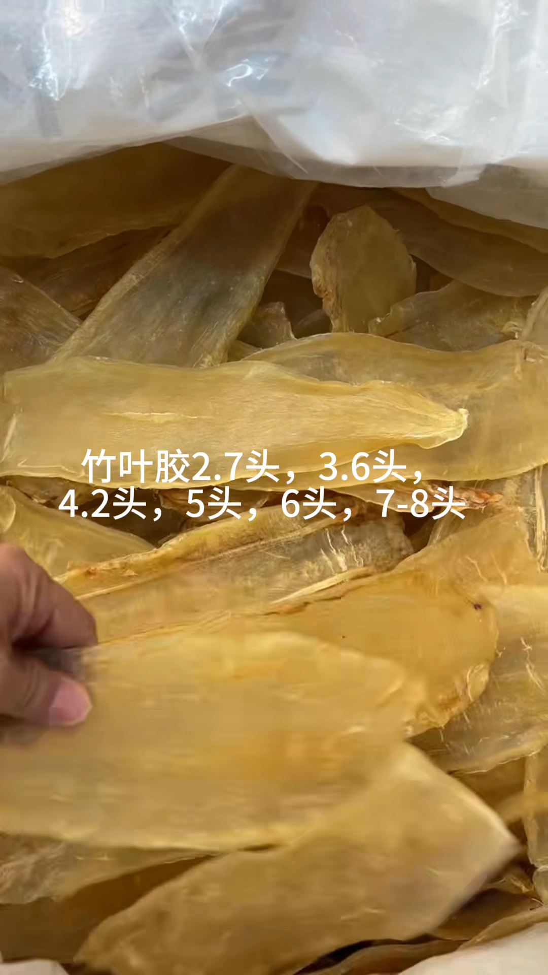 珍珠胶,鸭包片,白花鲈鱼胶,花鳘,龙须胶,大耳筒,斗湖胶,水晶双背,竹叶胶