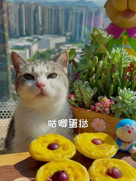 厨猫摩尔庄园的咕唧蛋挞复刻