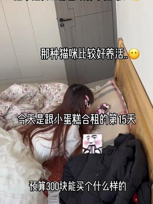 什么猫咪不仅可爱还有个性 兄弟们给我推荐几个品种吧