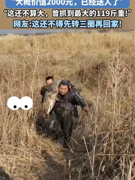 男子抓到70斤鳡鱼快背不动了“大概价值2000元,已经送人了”