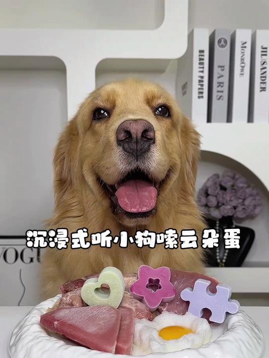 沉浸式听小狗嗦云朵蛋～