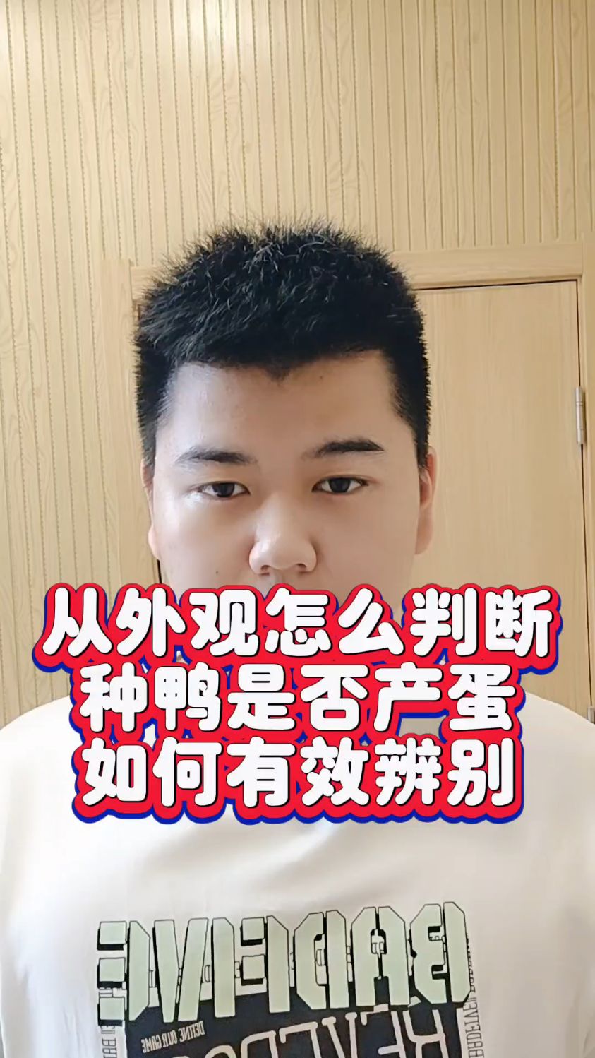 #怎么看鸭子是否下蛋怎么知道母鸭有没有下过蛋怎么看鸭子有没有生蛋怎么判断鸭子有